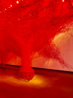 Chiharu Shiota