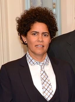 Julie Mehretu